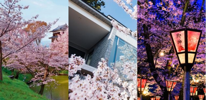 避开人山人海看樱花 私密的花见体验就藏在这些日本酒店里