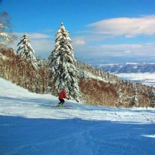 北海道这个浪漫雪国 一到冬天就美成童话